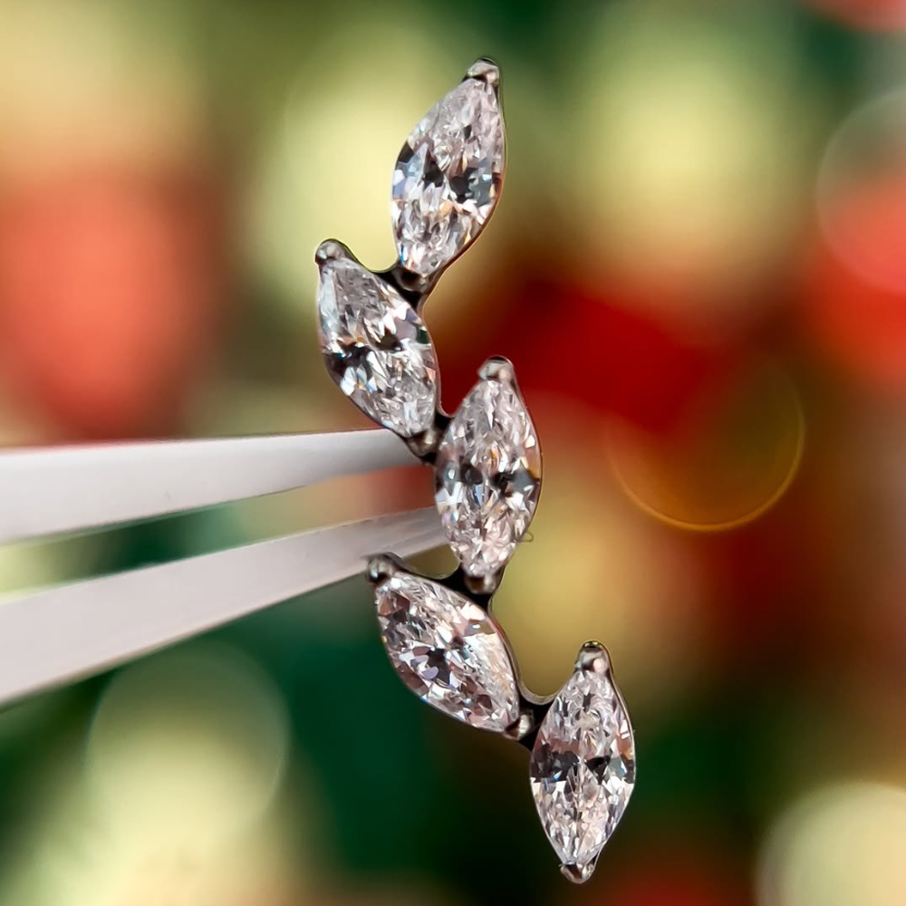 16G G23 Titanium Five Marquise - Cluster Stud Ear recension och pris