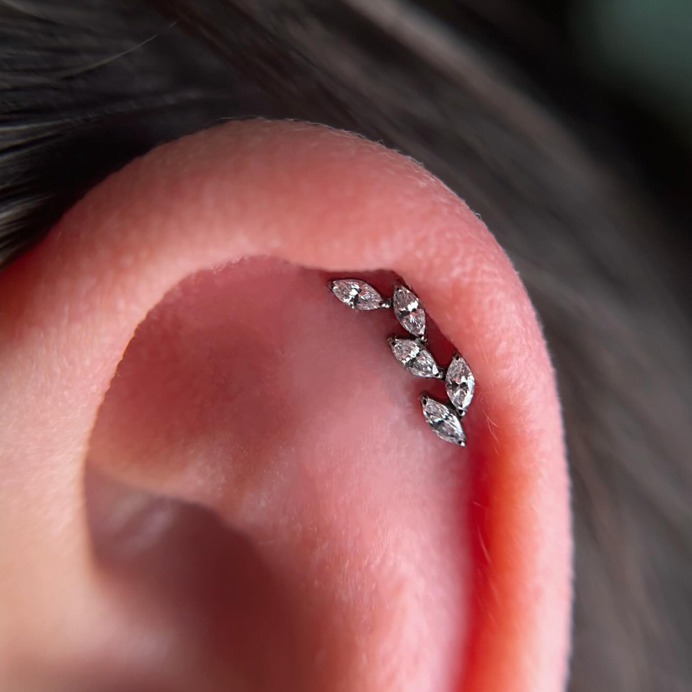 16G G23 Titanium Five Marquise - Cluster Stud Ear recension och pris