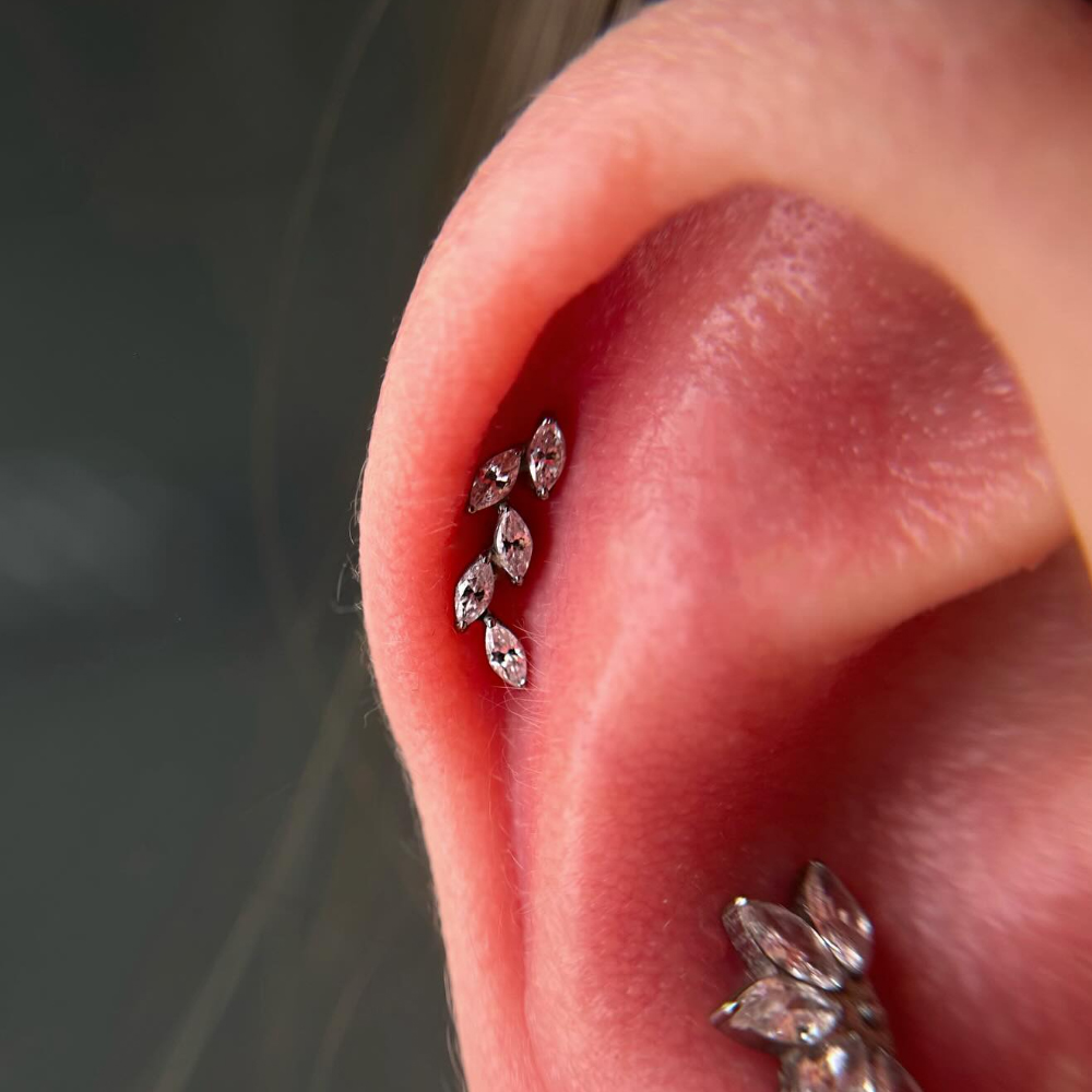 16G G23 Titanium Five Marquise - Cluster Stud Ear recension och pris