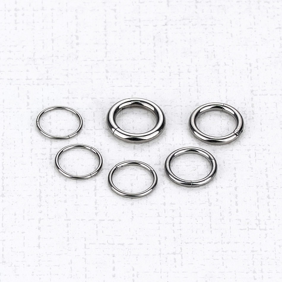 1Pc G23 Titanium Hinged Segmen - Body Jewelry Septum recension och pris