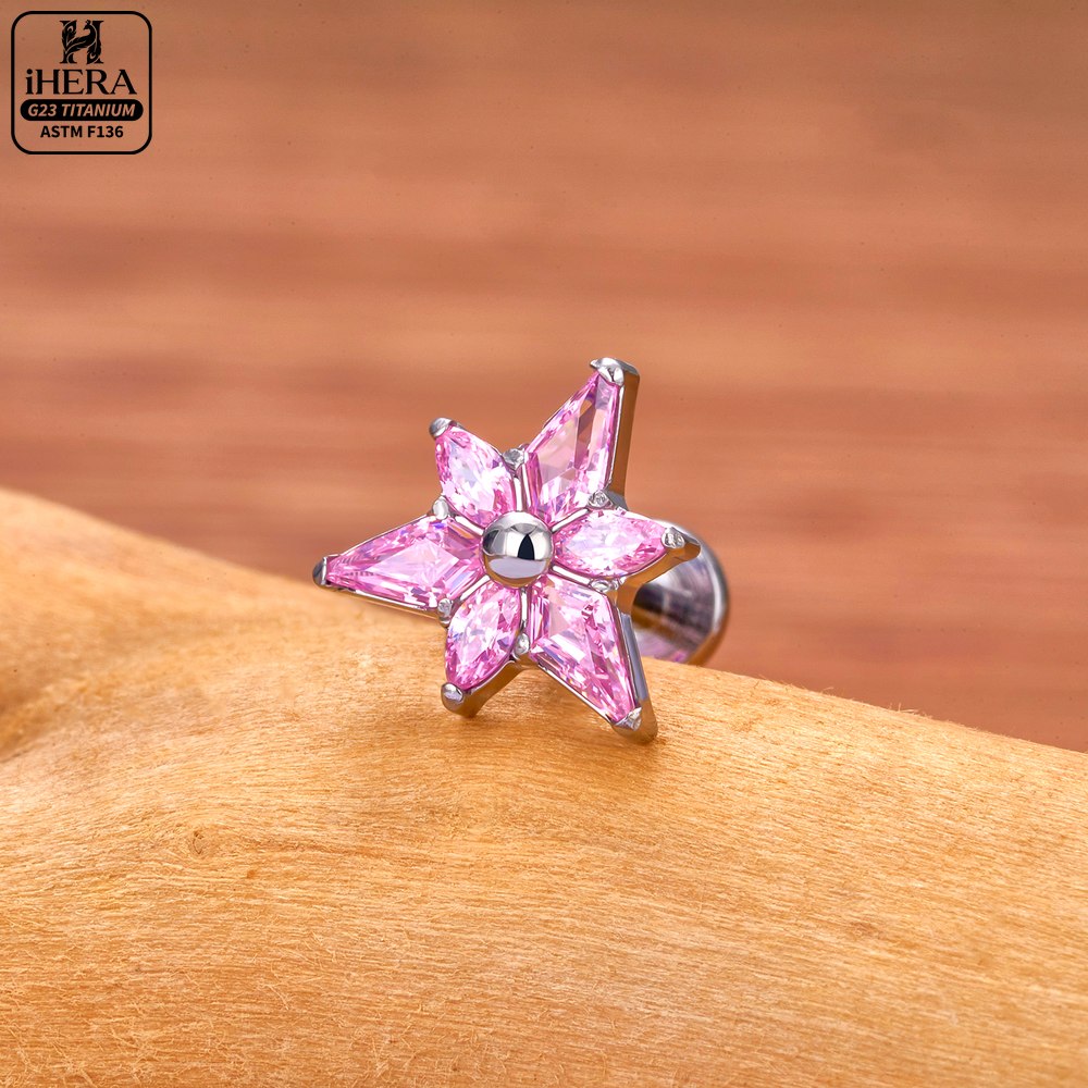 ASTM F136 Titanium Sparkly CZ  - Cluster Stud Ear recension och pris