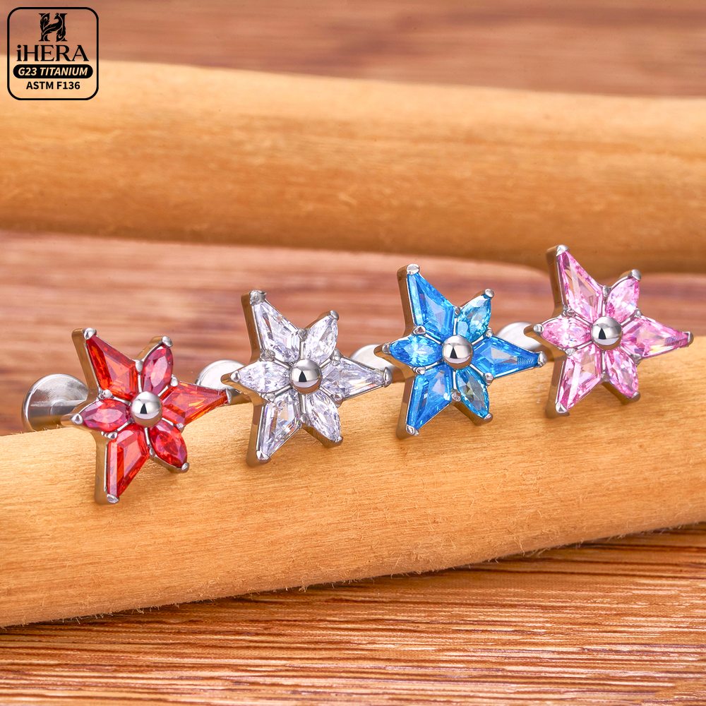 ASTM F136 Titanium Sparkly CZ  - Cluster Stud Ear recension och pris