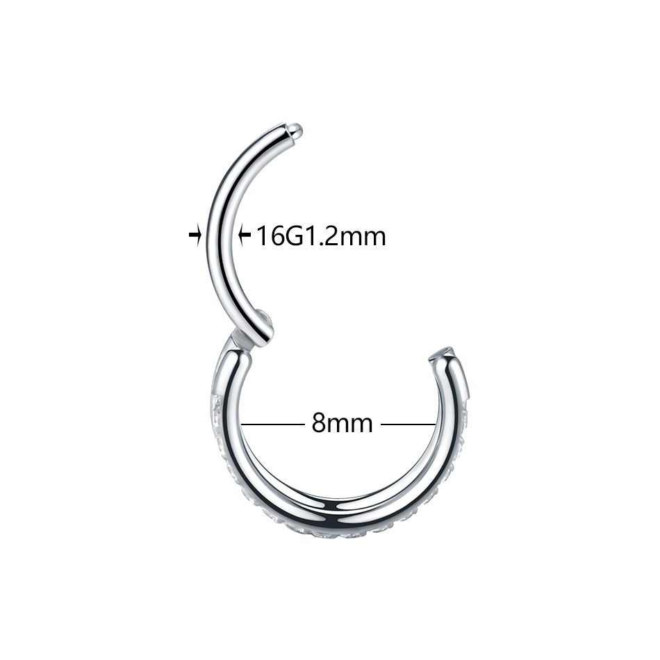 1pc Titanium Cartilage Hoop Ea - Body Jewelry Septum recension och pris
